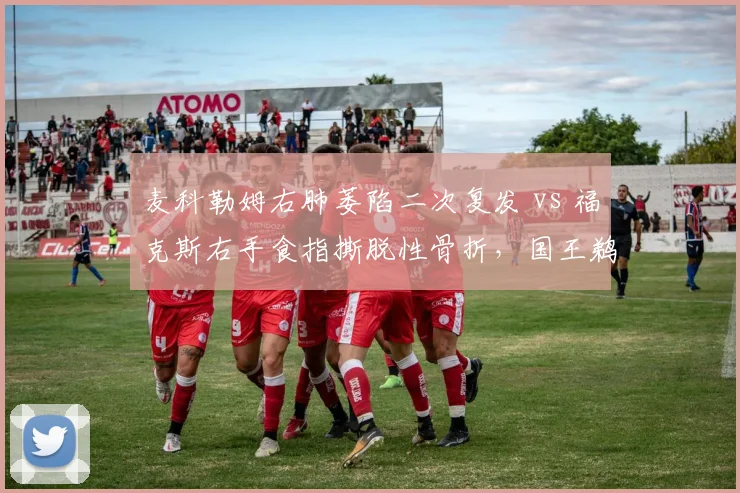 麦科勒姆右肺萎陷二次复发 vs 福克斯右手食指撕脱性骨折，国王鹈鹕后场核心伤停时长差异